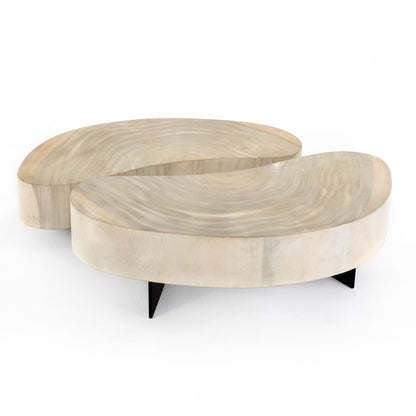 Kidney Shaped Bleached Guanacaste Wood 2 Piece Coffee Table 50 inch
